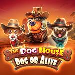 The Dog House - Dog Or Alive